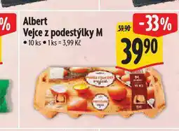 Albert Vejce m nabídka