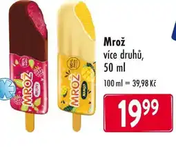 Qanto Mrož nabídka