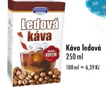 Qanto Ledová káva nabídka
