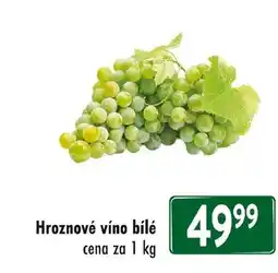 Qanto Hroznové víno bílé nabídka