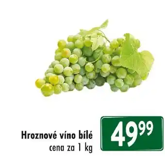 Qanto Hroznové víno bílé nabídka