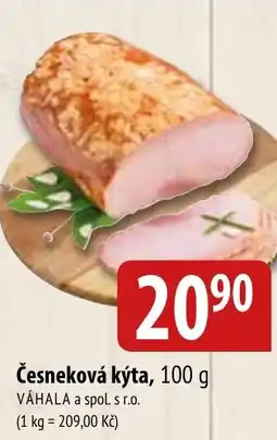 Bala Česneková kýta nabídka