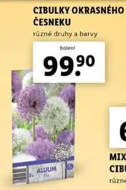 Lidl CIBULKY OKRASNÉHO ČESNEKU nabídka