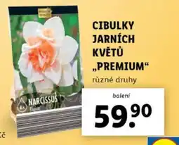Lidl CIBULKY JARNÍCH KVĚTŮ PREMIUM nabídka