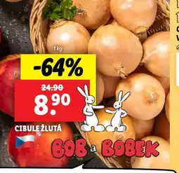 Lidl Cibule žlutá nabídka