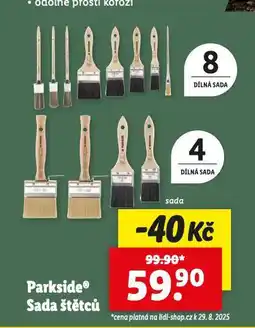 Lidl Sada štětců nabídka