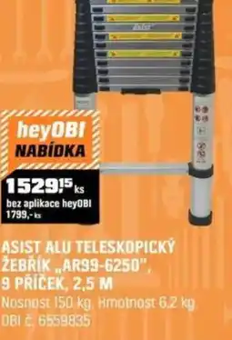 OBI Asist alu teleskopický žebřík,,ar99-6250", 9 příček, 2,5 m nabídka