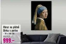 Hornbach Obraz na plátně Dívka s perlou nabídka