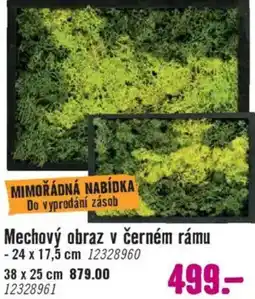 Hornbach Mechový obraz v černém rámu nabídka