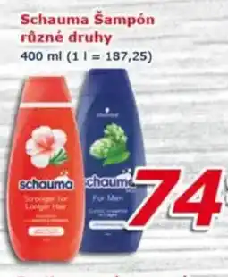 ESO MARKET Schauma Šampón nabídka
