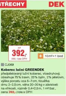 DEK Koberec luční GREENDEK nabídka