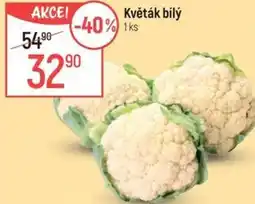 Globus Květák bílý nabídka