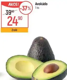 Globus Avokádo nabídka