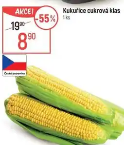 Globus Kukuřice cukrová klas nabídka