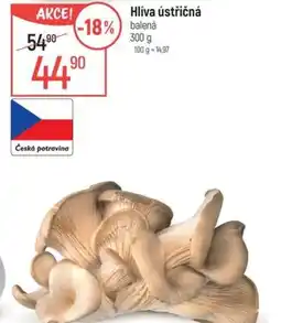 Globus Hlíva ústřičná nabídka