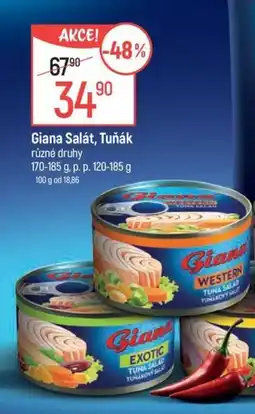 Globus GIANA Salát, tuňák nabídka