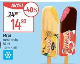 Globus Mrož nabídka