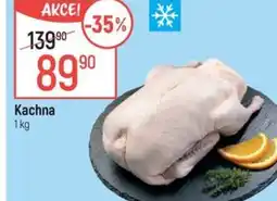 Globus Kachna nabídka