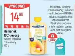 Globus Hamánek 100% ovoce nabídka