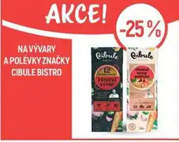 Globus Na vývary a polévky značky cibule bistro nabídka