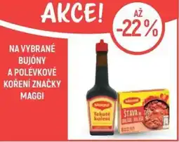 Globus Na vybrané bujóny a polévkové koření značky maggi nabídka