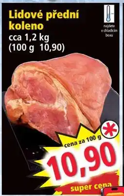 Norma Lidové přední koleno nabídka