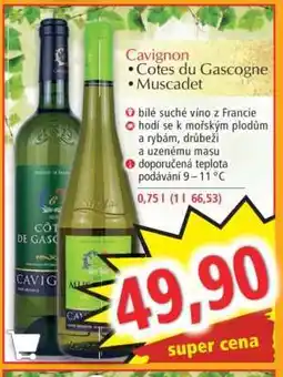 Norma Cavignon Cotes du Gascogne Muscadet nabídka