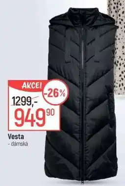 Globus Vesta dámská nabídka