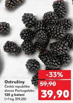 Kaufland Ostružiny Česká republika nabídka