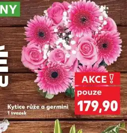 Kaufland Kytice růže a germini nabídka