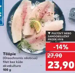Kaufland Tilápie nabídka