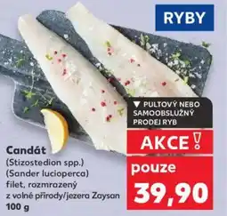 Kaufland Candát nabídka