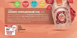 Globus Jahody fyofilizovan xxl nabídka