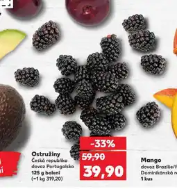 Kaufland Ostružiny nabídka