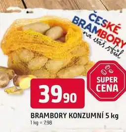 Trefa BRAMBORY KONZUMNÍ 5 kg 1 kg = 7,98 nabídka