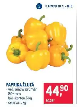 Makro Paprika žlutá nabídka