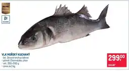 Makro Vlk mořský kuchaný nabídka