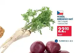 Makro PETRŽEL KOŘENOVÁ S NATÍ nabídka