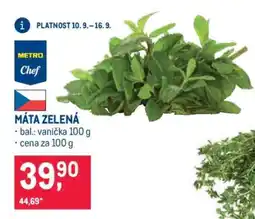 Makro Máta zelená nabídka
