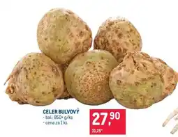 Makro Celer bulvový nabídka