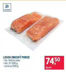 Makro LOSOS OBECNÝ PORCE nabídka