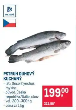 Makro Pstruh duhový kuchaný nabídka