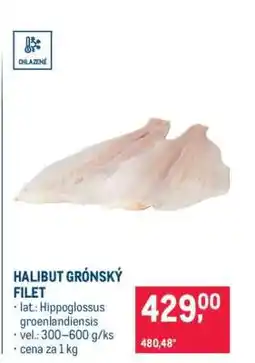 Makro Halibut grónský filet nabídka