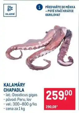 Makro Kalamáry chapadla nabídka