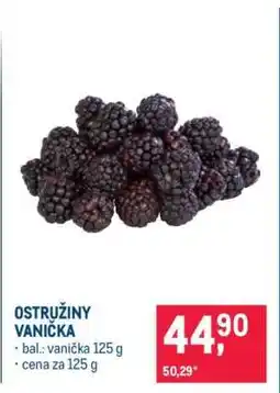 Makro OSTRUŽINY VANIČKA nabídka