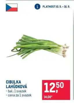 Makro CIBULKA LAHŮDKOVÁ nabídka