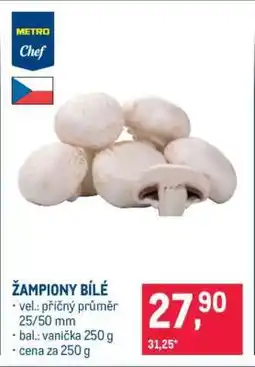 Makro Žampiony bílé nabídka