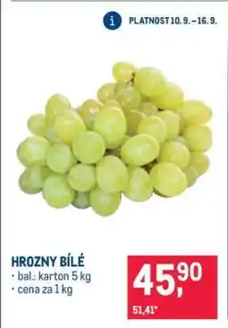 Makro Hrozny bílé nabídka