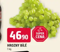 Terno Hrozny bílé nabídka