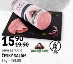 Terno Český salám nabídka